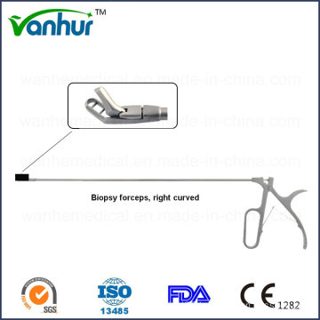 Sigmoidoscope&Rectoscopy Instruments Right Curved Biopsy Forceps